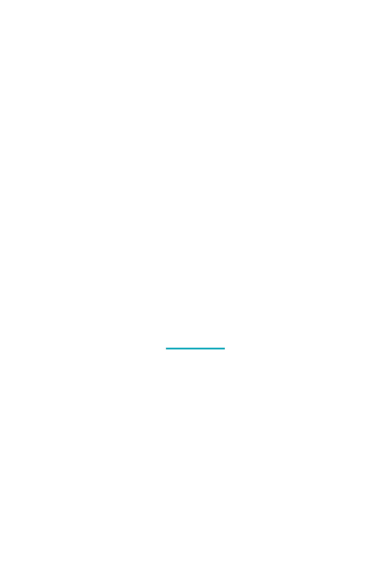 使命
